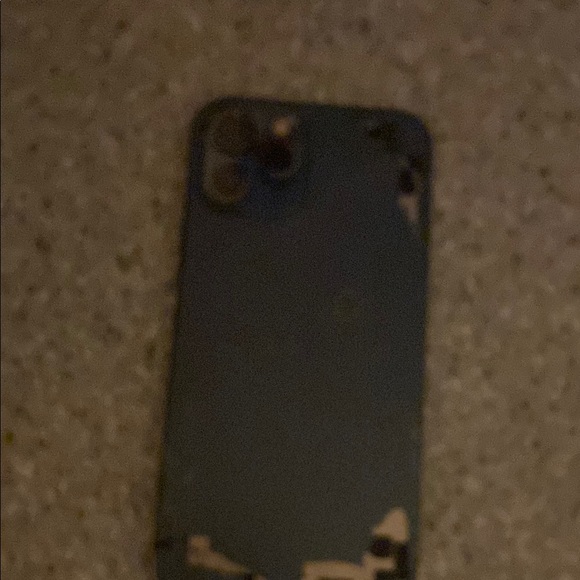 Apple Black and Tan Phone Case